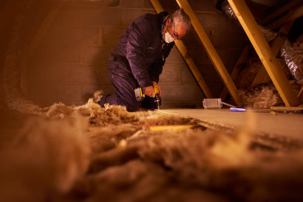 Best Affordable Insulation Services  in Ten Mile Run, NJ